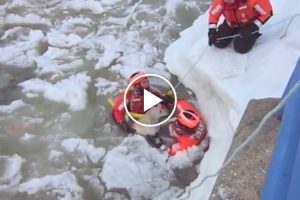 Guarda Costeira Percorre Vários Metros De Água Congelada Para Resgatar Cão