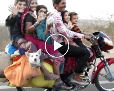 Um Transporte Para a Família Inteira!!!