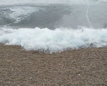 Lago Transforma-se Em Onda De Gelo Criando Momento Inesperadamente Belo