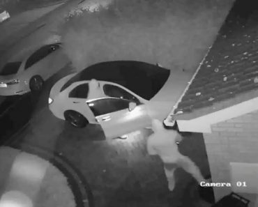 Polícia Britânica Alerta Para Nova Forma De Roubar Carros