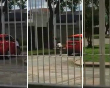 Vídeo Mostra Menina a Implorar Para Não Ser Deixada Na Rua Pela Mãe