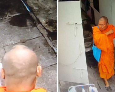 A 1ª Experiência Em Gravar Vídeo Não Correu Nada Bem Para 