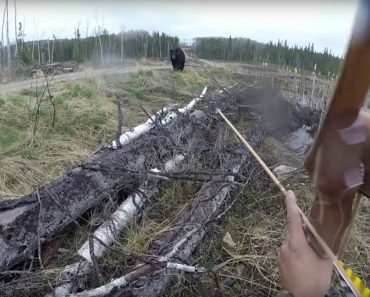 Homem Vive Aterrorizador Momento Ao Ficar Frente-a-Frente Com Urso Homem Vive Aterrorizador Momento Ao Ficar Frente-a-Frente Com Urso