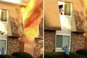 Mãe Atira Filho De 11 Meses Pela Janela Para Salvá-lo De Incêndio