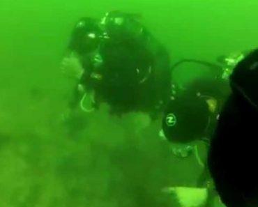 VIDEO: Mergulhadora Tem Ataque De Pânico a 15 Metros De Profundidade