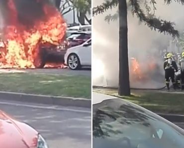 Incêndio Em Carro Causa Um Ferido e Danifica Outras Viaturas No Algarve