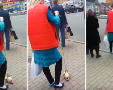VIDEO: Mulher é Vista a Andar Pela Rua a Passear Galinha Crua Pela Trela