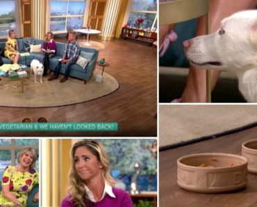Mulher Afirma Que o Seu Cão é Vegetariano e Acaba Por Passar Vergonha Em Direto Na TV