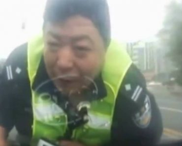 VIDEO: Polícia Faz a Pior Viagem Da Sua Vida Ao Tentar Travar Condutor Alcoolizado