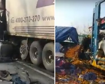 Intenso Nevoeiro Causa Choque Em Cadeia Envolvendo 28 Camiões Intenso Nevoeiro Causa Choque Em Cadeia Envolvendo 28 Camiões