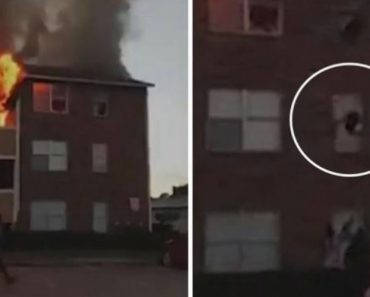 Seis Pessoas Saltam De janela De Apartamento Em Chamas. Bebé Foi Atirado