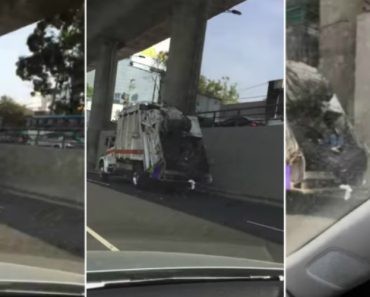 Isto é o Que Acontece Quando Um Funcionário De Recolha De Lixo Adormece Em Serviço