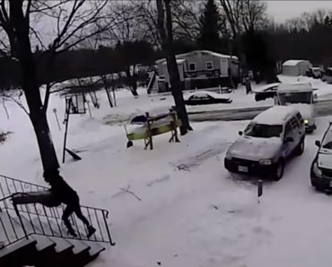 Encomenda Deixada à Porta De Casa Acaba Dentro Do Rio Ao Ser Arrastada Por Fortes Ventos