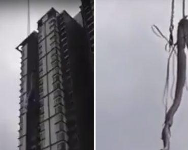 Bombeiros Usam Grua Para Retirar Gigantesca Cobra Do Topo De Edifício