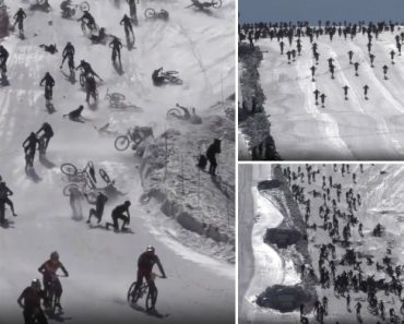Ciclistas
