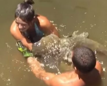 Mulher Apanha Enorme Peixe-Gato Usando o Próprio Braço Como Isco