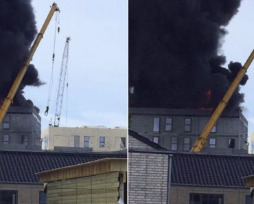 Operador De Grua Resgata Colega De Edifício Em Chamas Operador De Grua Resgata Colega De Edifício Em Chamas