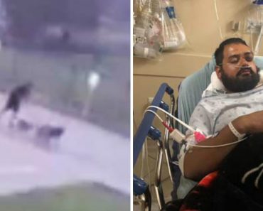 Câmera De Vigilância Capta Momento Em Que Homem é Atingido Por Raio Enquanto Passeia Os Seus Cães