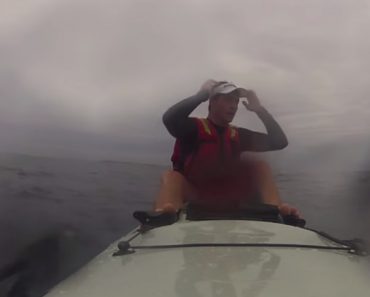 Pescador Amador Vive Momento Assustador Quando Tubarão Lhe Vira o Kayak Ao Contrário