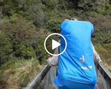 Ponte Colapsa Quando Quatro Jovens Faziam Travessia Ponte Colapsa Quando Quatro Jovens Faziam Travessia