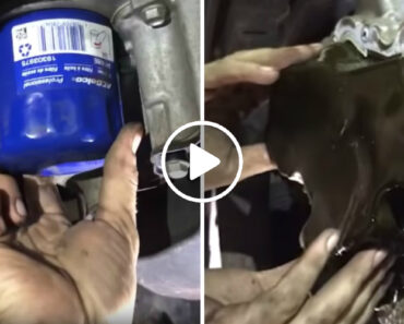 Deixou o Carro No Mecânico Por Este Ter Um Cheiro Estranho… Veja o Que Encontraram Deixou o Carro No Mecânico Por Este Ter Um Cheiro Estranho… Veja o Que Encontraram