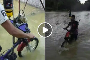 Motociclistas Encontram Maneira Inteligente De Conduzir Pelas Ruas Inundadas