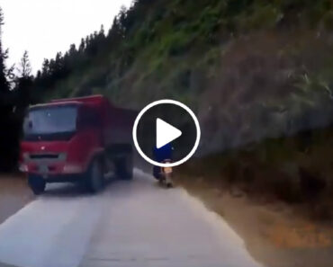 Reflexos De Motociclista Evitam Acidente Arrepiante
