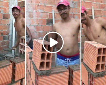 Sem Nível… Trolha Mostra Como Fazer Uma Parede Em Blocos Direitinha