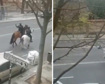 VIDEO: Polícia a Cavalo Persegue Ciclista Que Ignorou Avisos VIDEO: Polícia a Cavalo Persegue Ciclista Que Ignorou Avisos
