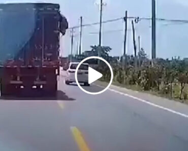 Camionista Vê Que Não Tem Espaço Para Terminar Ultrapassagem e Faz Isto