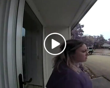 Mulher Apanha o Susto Da Sua Vida Após Raio Atingir Árvore Mulher Apanha o Susto Da Sua Vida Após Raio Atingir Árvore