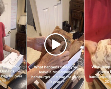 Abriu Um Hambúrguer Da McDonald’s Que Guardou Numa Caixa Em 1996 Abriu Um Hambúrguer Da McDonald’s Que Guardou Numa Caixa Em 1996