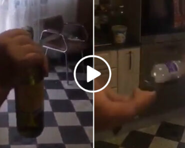 Uma Maneira Diferente De Abrir Uma Garrafa De Vinho Sem Usar Um Saca-Rolhas