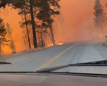 VIDEO: Condutor Escapou Às Chamas De Um Incêndio Na Califórnia