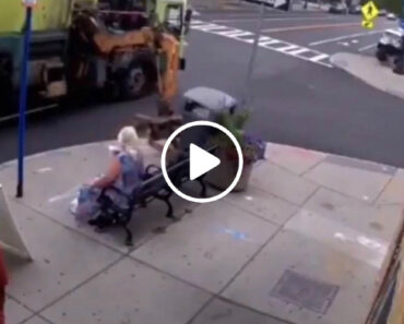 Camião Do Lixo Quase Pega Numa Mulher e Mete-a No Lixo Camião Do Lixo Quase Pega Numa Mulher e Mete-a No Lixo