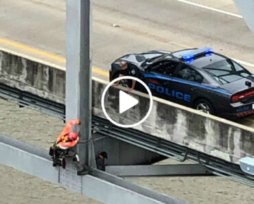 Equipa De Inspeção Regasta Cão Preso Em Ponte Nos Estados Unidos