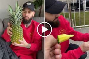 Técnica Para Comer Um Abacaxi Sem o Descascar