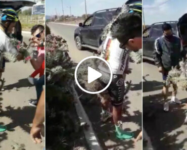 Um Ciclista Que Nunca Mais Vai Esquecer a Sua Última Volta De Domingo Um Ciclista Que Nunca Mais Vai Esquecer a Sua Última Volta De Domingo