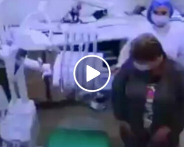 Deve Ter Sido a Primeira Vez Que Esta Mulher Foi Ao Dentista Deve Ter Sido a Primeira Vez Que Esta Mulher Foi Ao Dentista