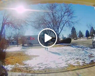 Estafeta Da FedEx Vê Carrinha Ser Roubada Enquanto Fazia Entrega Estafeta Da FedEx Vê Carrinha Ser Roubada Enquanto Fazia Entrega