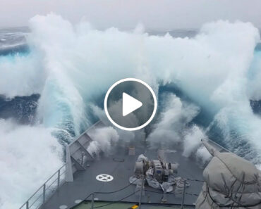 Navio é Atingido Por Monstruosa Onda Com Cerca De 18 Metros Navio é Atingido Por Monstruosa Onda Com Cerca De 18 Metros