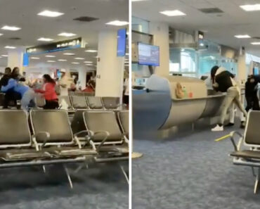 Passageiros Transformam Aeroporto Internacional de Miami Em Campo De Batalha Passageiros Transformam Aeroporto Internacional de Miami Em Campo De Batalha