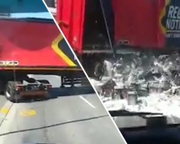 A Insuperável Estupidez Humana A Insuperável Estupidez Humana