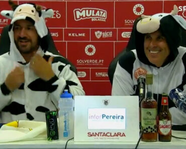 Presidente e Treinador Do Santa Clara Vestem-se De Vaca Para a Festa Presidente e Treinador Do Santa Clara Vestem-se De Vaca Para a Festa