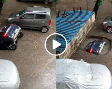 Onde é Que Eu Estacionei o Meu Carro? Onde é Que Eu Estacionei o Meu Carro?