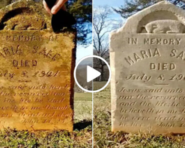 Mãe Americana Divorciada Limpa Lápides Como Terapia Mãe Americana Divorciada Limpa Lápides Como Terapia