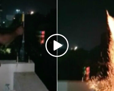 Qual a Probabilidade De Isto Acontecer Novamente Quando Se Lança Fogo De Artifício? Qual a Probabilidade De Isto Acontecer Novamente Quando Se Lança Fogo De Artifício?