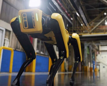 Hyundai Já Tem Cães Robôs a Guardar As Suas Fábricas