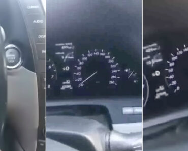 Condutor De Lexus LS 460 Filmou-se a Conduzir e a Despistar-se a 260 Km/h