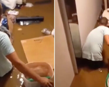 Homens Ficam Com a Casa Inundada Mas Conseguem Resgatar o Seu Bem Mais Precioso
